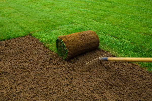 Sod service for Aiken, North Augusta and Augusta